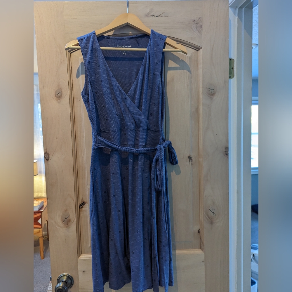 Toad & Co Cue Sleeveless Dress